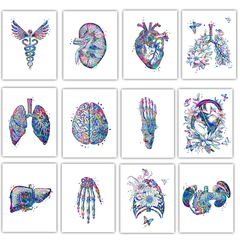 Anatomy Medical Poster Flower  - Medical Lab Pictures recension och pris