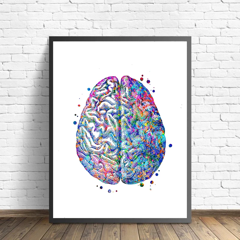 Anatomy Medical Poster Flower  - Medical Lab Pictures recension och pris